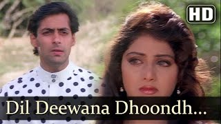 Poster dil deewana dhoond