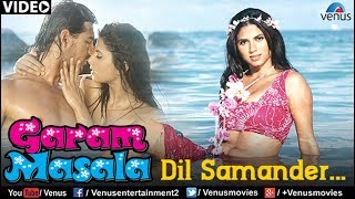 Poster dil samandar