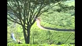 Poster hawa mein udta jaye mora lyrics – lata mangeshkar