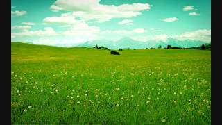 Poster hasi samaa hai