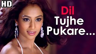 Poster dil tujhe pukare pukare